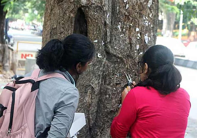 मुंबईत ३४० झाडांचा गुदमरलेला श्वास झाला मोकळा