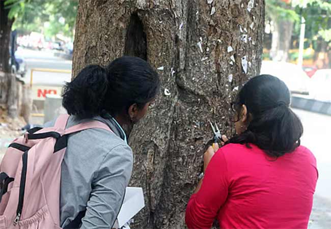 मुंबईत ३४० झाडांचा गुदमरलेला श्वास झाला मोकळा