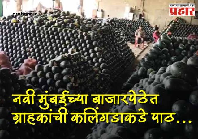 APMC Market : कलिंगड खाल्ल्याने मृत्यूच्या घटनेचा फटका; वाशी APMC मध्ये कलिंगड विक्री ठप्प! व्यापारी आणि शेतकरी चिंतेत
