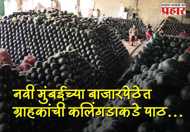 APMC Market : कलिंगड खाल्ल्याने मृत्यूच्या घटनेचा फटका; वाशी APMC मध्ये कलिंगड विक्री ठप्प! व्यापारी आणि शेतकरी चिंतेत