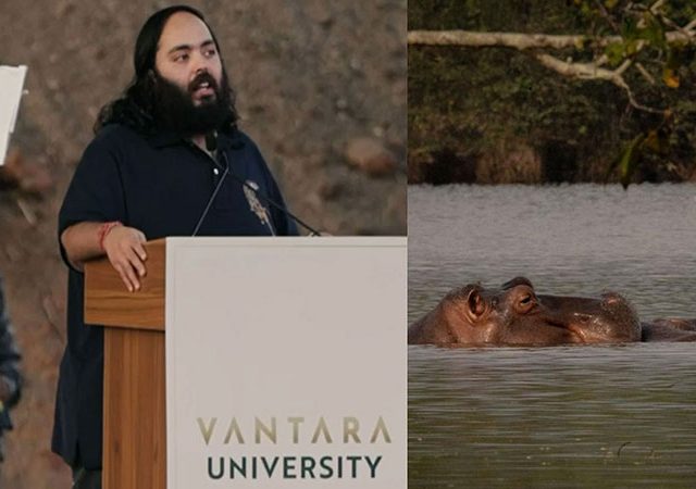 Anant Ambani : हिप्पोंना मारु नका, वनतारामध्ये पाठवा; अनंत अंबानी यांची कोलंबिया सरकारला विनंती