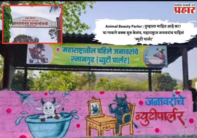 Animal Beauty Parlor : तुम्हाला माहित आहे का? या गावाने चक्क सुरु केलंय, महाराष्ट्रात जनावरांच पाहिलं ब्युटी पार्लर; जाणून घ्या सविस्तर