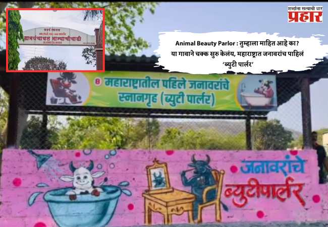 Animal Beauty Parlor : तुम्हाला माहित आहे का? या गावाने चक्क सुरु केलंय, महाराष्ट्रात जनावरांच पाहिलं ब्युटी पार्लर; जाणून घ्या सविस्तर