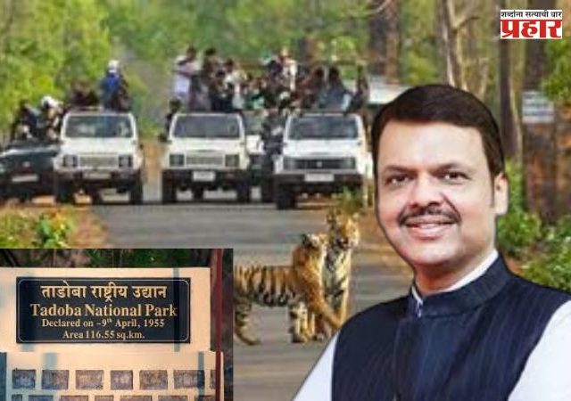 मुख्यमंत्र्यांच्या पाठबळामुळे ताडोबा व्याघ्र प्रकल्पातील पर्यावरणीय पुनरुज्जीवन प्रकल्पाला मिळाली चालना