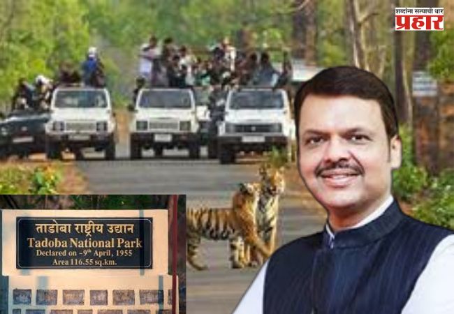 मुख्यमंत्र्यांच्या पाठबळामुळे ताडोबा व्याघ्र प्रकल्पातील पर्यावरणीय पुनरुज्जीवन प्रकल्पाला मिळाली चालना