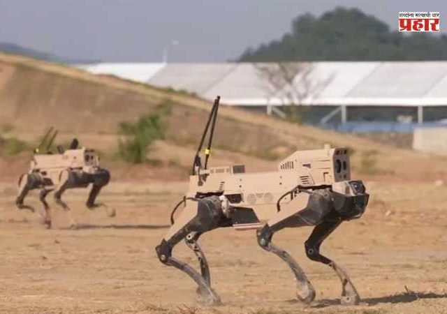 China AI Robot Wolf Army : भविष्यात AI कुत्रे करणार ड्रोनचा सामना; भविष्यातील युद्धासाठी चीनची ‘रोबोट वुल्फ आर्मी’ सज्ज!