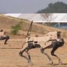 China AI Robot Wolf Army : भविष्यात AI कुत्रे करणार ड्रोनचा सामना; भविष्यातील युद्धासाठी चीनची ‘रोबोट वुल्फ आर्मी’ सज्ज!