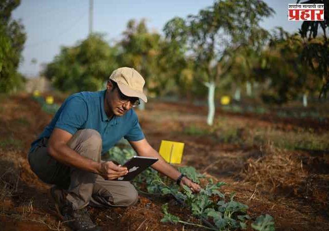 Crop registration : आता प्रत्येक हंगामात १०० टक्के पीक नोंदणी बंधनकारक