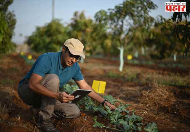 Crop registration : आता प्रत्येक हंगामात १०० टक्के पीक नोंदणी बंधनकारक