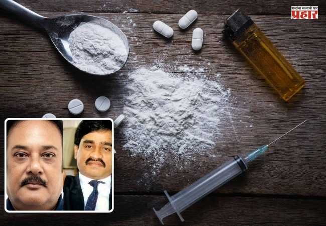 Drug lord Salim Dola : इस्तंबूलमध्ये भारतीय ड्रग लॉर्ड सलीम डोला जेरबंद! दाऊद कनेक्शनमुळे मोठ्या खुलाशांची शक्यता
