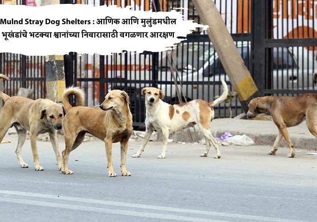 Mulnd Stray Dog Shelters : आणिक आणि मुलुंडमधील भूखंडांचे भटक्या श्वानांच्या निवारासाठी वगळणार आरक्षण
