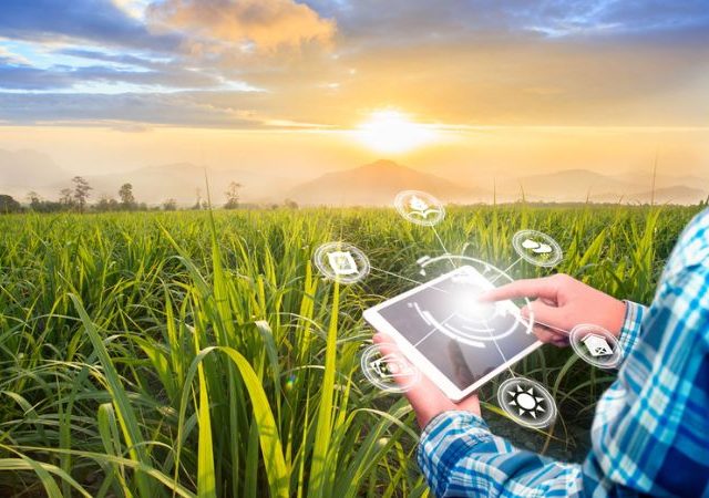 राष्ट्रीय सुगी पश्चात तंत्रज्ञान संस्थेत ॲग्रीबिझनेस अभ्यासक्रम सुरू