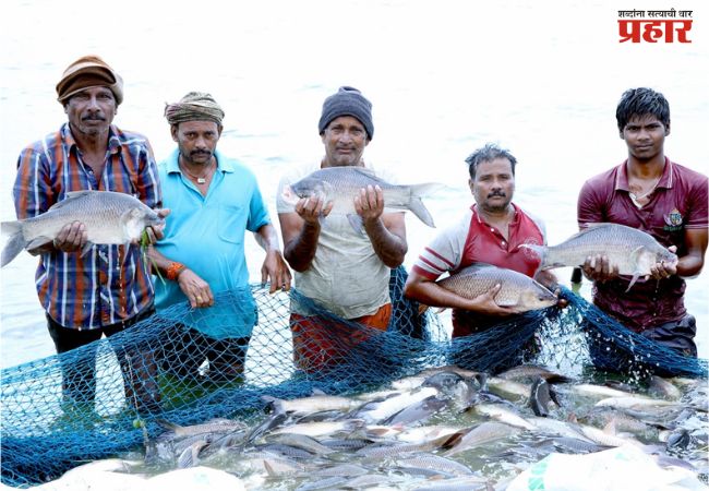 ​PMMSY : मत्स्यपालन क्षेत्राला केंद्राचे बळ; ‘प्रधानमंत्री मत्स्य संपदा’ योजनेला मुदतवाढ