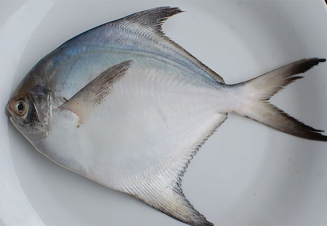 Fish export : मत्स्य निर्यातीत महाराष्ट्र देशात दुसऱ्या स्थानी