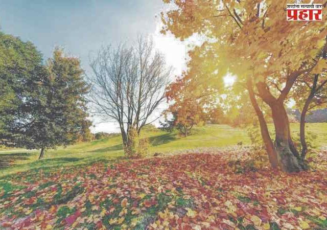 वसंत वैभव