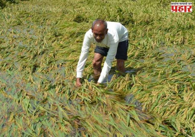 अवकाळीने झालेल्या नुकसानीपोटी शेतकऱ्यांना १२८ कोटी ६५ लाखांची मदत
