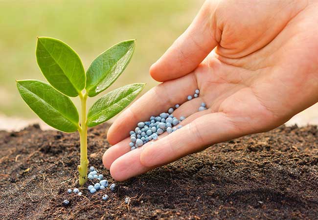 Fertilizer : ‘उत्तरप्रदेशच्या धर्तीवर राज्यातही खते लीकिंग बंद करणेबाबत निर्णय घेणार’