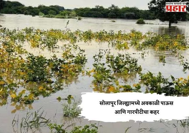 सोलापूर जिल्ह्यामध्ये अवकाळी पाऊस आणि गारपीटीचा कहर