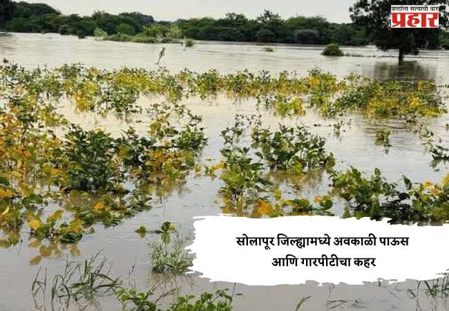 सोलापूर जिल्ह्यामध्ये अवकाळी पाऊस आणि गारपीटीचा कहर