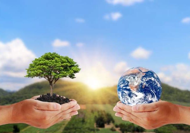 चला, पुन्हा जोडू या मातीशी नाते!