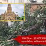 Trees in Mumbai : बाधित झाडांच्या बदल्यात पर्यायी झाडे लावताना मुंबईतच लागवड करा