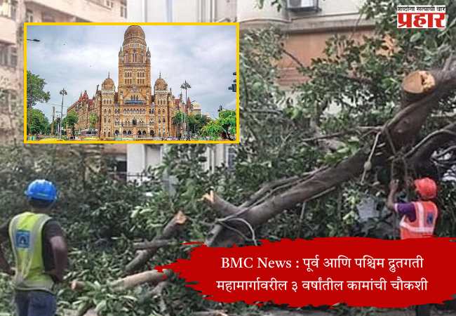 Trees in Mumbai : बाधित झाडांच्या बदल्यात पर्यायी झाडे लावताना मुंबईतच लागवड करा