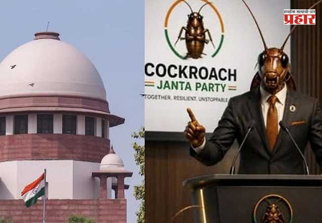 Cockroach Janata Party : ‘कॉकरोच जनता पार्टी’ प्रकरणावर अतिशय भावनिक प्रतिक्रिया देऊ नका; सर्वोच्च न्यायालयाने फटकारले