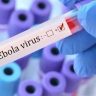Ebola virus : युगांडामधून बंगळुरूमध्ये आलेल्या महिलेत आढळली 'इबोला व्हायरस'ची लक्षणे ; रक्ताचे नमुने पाठवले पुण्यात !