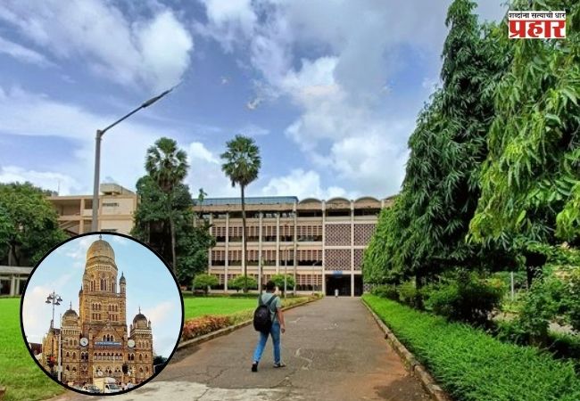 IIT Mumbai : आयआयटी मुंबईच्या परिसरात इमारत बाधकामांमध्ये बाधित २३७ झाडे कापली, तर ४०० झाडे केली पुनर्रोपित