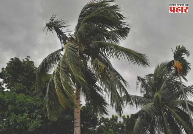 Monsoon Update : केरळमध्ये ५ दिवस आधीच मान्सूनची एन्ट्री; मुंबई-कोकणात मे महिन्याच्या अखेर पावसाच्या सरींचा अंदाज