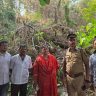 Marijuana Cultivation : भांडुप जलाशय टेकडीवर गांजाची शेती, भाजप नगरसेविकेने आणली निदर्शनास