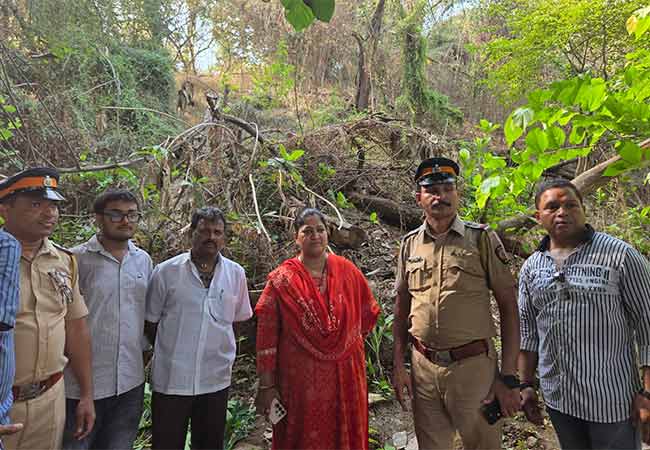 Marijuana Cultivation : भांडुप जलाशय टेकडीवर गांजाची शेती, भाजप नगरसेविकेने आणली निदर्शनास