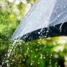 Monsoon Rain Update : उकाड्यापासून लवकरच सुटका! अंदमानात पुढच्या ४८ तासांत पावसाच्या सरी कोसळणार!