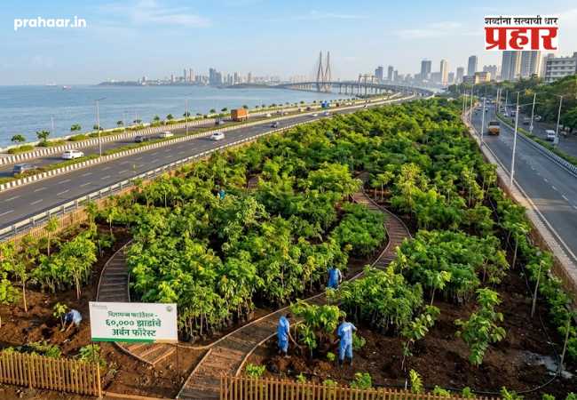 Mumbai Coastal Road : मुंबईचा समुद्रकिनारा नटणार हिरवाईने! कोस्टल रोड शेजारी ६० हजार झाडांची लागवड; रिलायन्स फाउंडेशन उभारणार ‘अर्बन फॉरेस्ट’