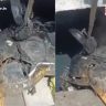BMC News : धक्कादायक! मुंबईच्या नालेसफाईत सापडली चक्क अख्खी रिक्षा; बीएमसीच्या कारवाईचा व्हिडीओ सोशल मीडियावर व्हायरल