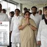 NCP's new executive committee : राष्ट्रवादीच्या नव्या कार्यकारिणीतून प्रफुल्ल पटेल, तटकरे, भुजबळांचे नाव गायब?