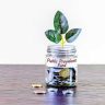 PPF Investment : PPF मध्ये गुंतवणुकीची ‘ही’ तारीख ठरते फायदेशीर! एका छोट्या नियमामुळे मिळू शकतो जास्त व्याज
