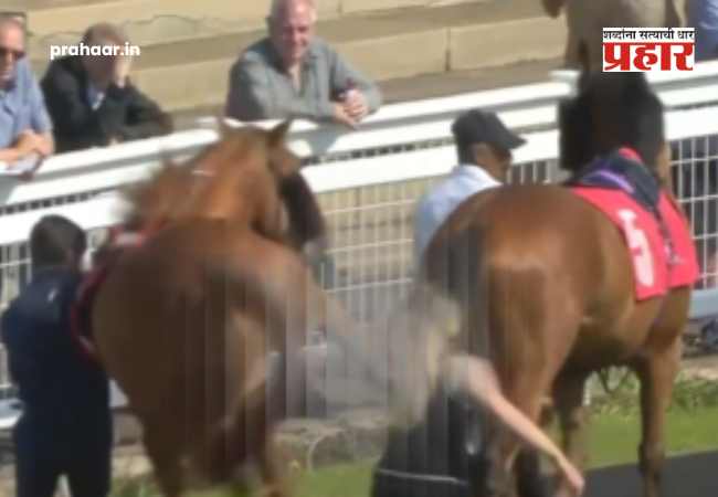 Redcar Racecourse Shocking Video : शॉकिंग व्हिडिओ! रेडकार रेसकोर्सवर घोड्याची महिलेला जीवघेणी लाथ; महिला थेट…