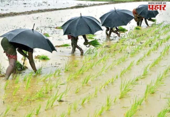 Rainy Season: यंदा पाऊस कमीच पडणार, हवामान विभागाच्या अंदाजामुळे शेतकरी चिंतेत