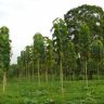 Farmer offers Rs 200 crore: ३० लाखांच्या दंडासाठी शेतकऱ्याची पुण्याच्या जिल्हाधिकाऱ्यांना २०० कोटींची ऑफर