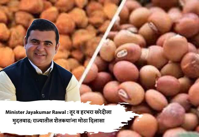Minister Jayakumar Rawal : तूर व हरभरा खरेदीला मुदतवाढ; राज्यातील शेतकऱ्यांना मोठा दिलासा