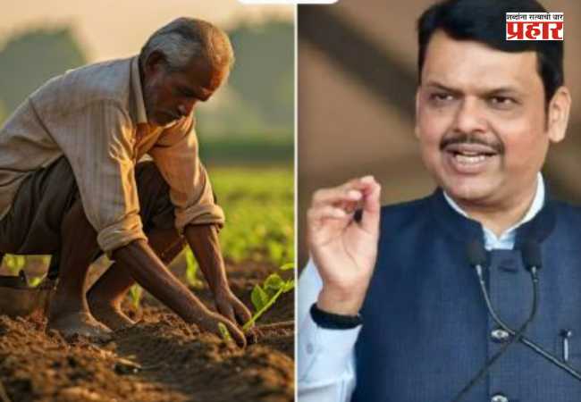Devendra Fadnavis : पावसाच्या सरींना मान्सून समजू नका; पेरणीची घाई करू नका : मुख्यमंत्री फडणवीसांचे शेतकऱ्यांना आवाहन