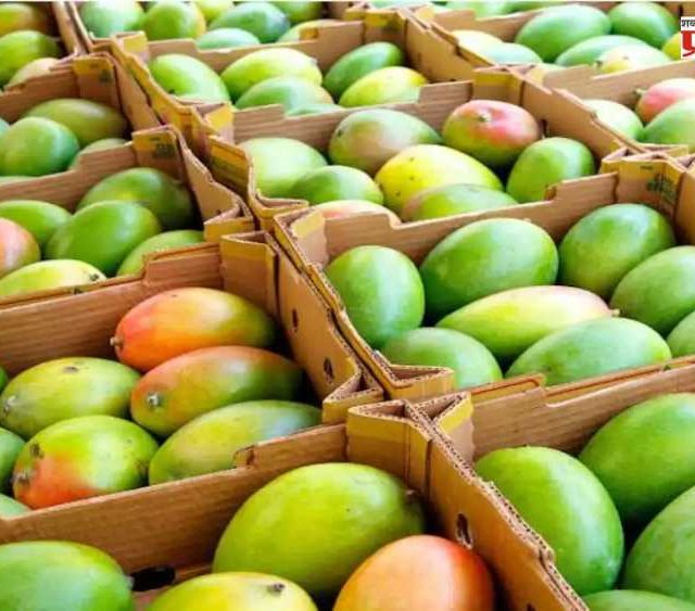 Mango Juice Caused Poisoned :