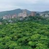 Aarey Colony : आरे परिसरात ८० एकर जागेत ५ लाख झाडे लावणार