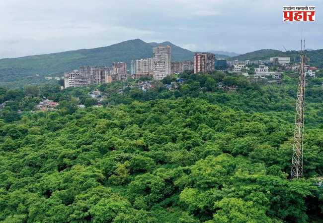 Aarey Colony : आरे परिसरात ८० एकर जागेत ५ लाख झाडे लावणार