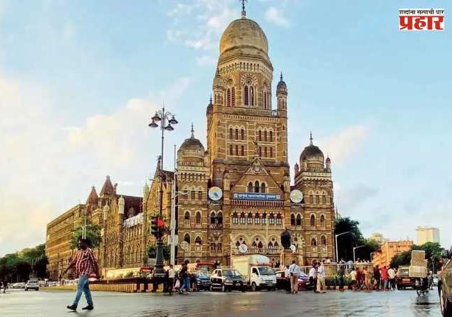 BMC News : महापालिका सभागृहात उंदराचा प्रवेश, नगरसेवकांमध्ये घबराट
