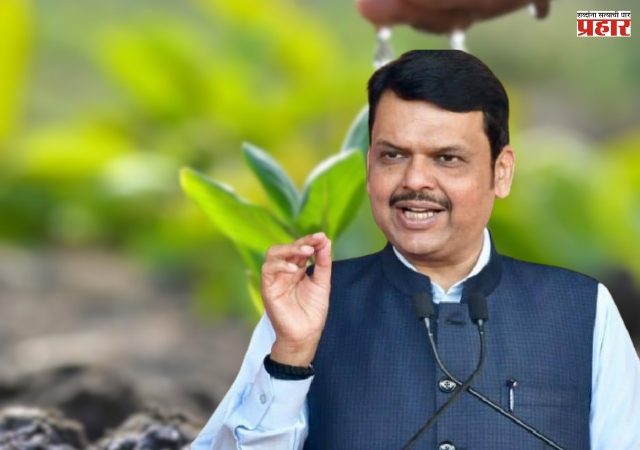 Harit Maharashtra :  राज्यात ११ कोटी वृक्ष लागवडीसाठी नियोजनावर भर; मुख्यमंत्री फडणवीसांचे आदेश