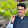 Harit Maharashtra :  राज्यात ११ कोटी वृक्ष लागवडीसाठी नियोजनावर भर; मुख्यमंत्री फडणवीसांचे आदेश