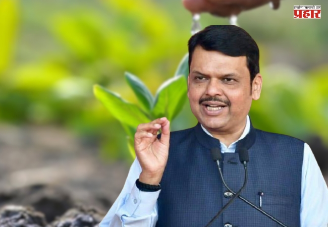 Harit Maharashtra :  राज्यात ११ कोटी वृक्ष लागवडीसाठी नियोजनावर भर; मुख्यमंत्री फडणवीसांचे आदेश