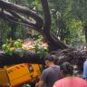 Chembur Bus Accident : चेंबूरमध्ये मोठी दुर्घटना; स्कूल बसवर झाड कोसळले